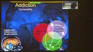 The Vulnerable Brain: Insights into the Neurobiology of Addiction with Yasmin Hurd, PhD