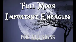 All Signs Full Moon in Virgo - This moon offers a lesson on the pitfalls of acting on assumptions...