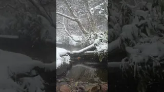 Поездка на "горячий пляж"🧘‍♀️