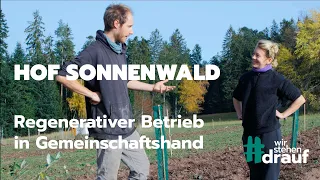 wir stehen drauf - Hof Sonnenwald - Regenerativer Betrieb in Gemeinschaftshand       #agroforst