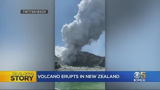 Bay Area Family Narrowly Escapes Death In New Zealand's White Island Volcanic Eruption