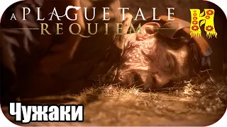 A Plague Tale Requiem: Прохождение Глава 2 - Чужаки