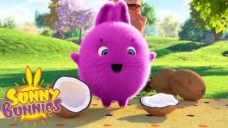 SUNNY COCONUT | SUNNY BUNNIES | Funny Cartoons For Children