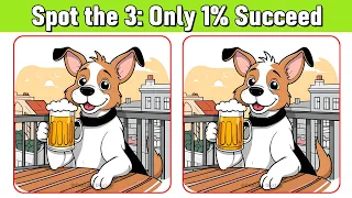 【Spot & Find the 3 Differences : A Little Difficult】 Put Your Skills to the Test