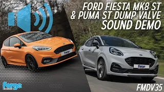 Ford Fiesta Mk8 ST & Puma ST Dump Valve Sound Demo - FMDV35