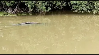 The human-crocodile conflict in Nilwala river