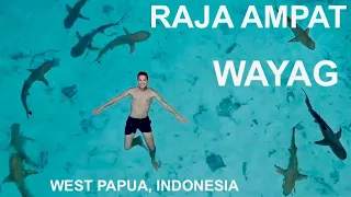 Indonesia - Raja Ampat (Wayag) 🇮🇩🐟 | Trexpat travel