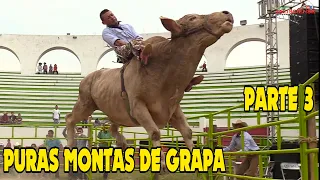 ¡PURAS MONTAS A PRETAL DE GRAPA! TERCERA PARTE