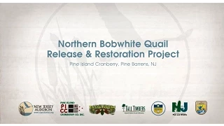 NJ Audubon Northern Bobwhite Quail Restoration