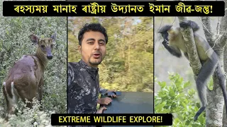 Manas National Park || Full of Animals || Wildlife Vlog