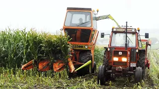 Dronningborg D5500 in the field chopping corn | Corn Silage Season 2021 & 2022