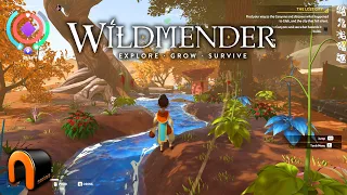 WILDMENDER A Very Good Oasis Builder SURVIVAL!