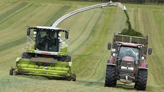 Claas Jaguar 960 in the field chopping grass | Case IH Optum 300 & Fendt 939 Vario | DK Agriculture