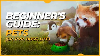 Black Desert Mobile: 2023 Beginner's Guide to Pets - Pet Skills, Album, Presets & Where to get Pets