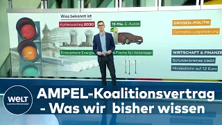 AMPEL IM ENDSPURT: Hochspannung - Das könnte im Koalitionsvertrag stehen | WELT Hintergrund