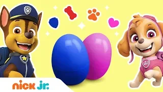 PAW Patrol Guessing Game Ft. Chase, Marshall & More! | Surprise Eggs | Nick Jr.