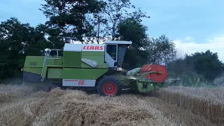 CLAAS DOMINATOR 68S 2005 ENGINE-130PS  HARVESTING---REVIEW!!