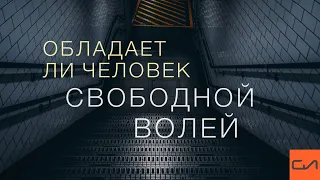 Обладает ли человек свободной волей | Андрей Вовк | Слово Истины