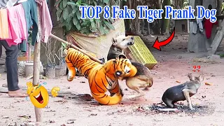 TOP 8 Fake Tiger vs Prank Sleep Dogs - Very Funny Reaction - Try to stop Laugh 2021