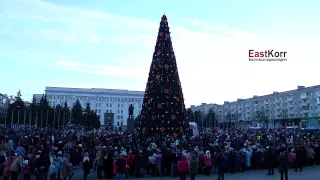 В Луганске зажгли главную елку