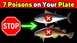 7 Kinds of Fish You Should Never Eat ! Healthy Habitat
