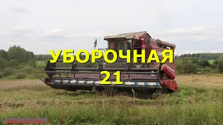 УБОРОЧНАЯ ЗЕРНА 2021. Сбор урожая.