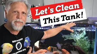 How I Clean My 90 Gallon Rimless Aquarium [EVERY STEP!]