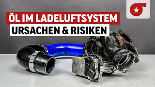 Öl im Ladeluftsystem - Ursachen, Risiken & was zu beachten ist!