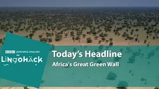 Learn words from the news: desertification, erode, humidity, drought-resistant, planting