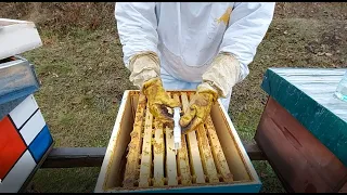 PČELARSTVO 2021-Tretiranje pčela oksalnom kiselinom/BEEKEEPING 2021-Treatment bees with oxalic acid