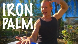 Real IRON PALM - Kung Fu Master