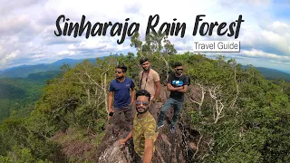 Sinharaja Rain Forest in Sri Lanka  | TRIP PISSO VLOG #60