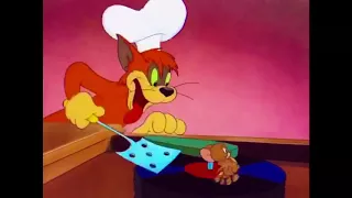 Tom And Jerry English Episodes-Saturday Evening Puss-Cartoons For Kids