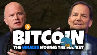 BITCOIN - Who Are the WHALES Moving the Market???