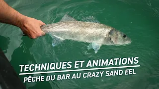 Fiiish - Pêche du bar au Crazy Sand Eel sur La Rochelle