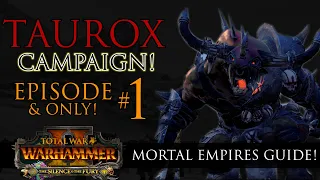 TAUROX Campaign Episode #1 & Only! - Silence and Fury Warhammer 2 Guide