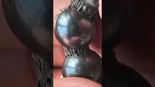 Ball Magnets