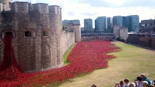 WWI Memorial Poppies Tower of London - #Armistice100