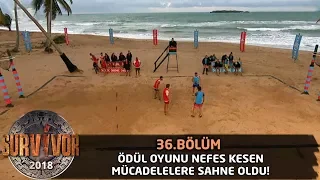 Ödül oyununda kıran kırana mücadele! | 36.Bölüm | Survivor 2018