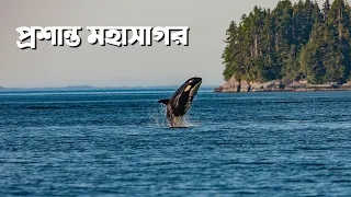 প্রশান্ত মহাসাগর || পৃথিবীর বৃহত্তম মহাসাগর || All About Pacific Ocean in Bangla