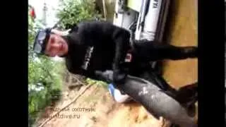 Подводная охота на белого амура в Десногорске
