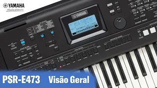 PSR-E473  Apresentação Geral