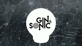 Timmy Trumpet, Savage - Freaks (Gin and Sonic Remix)
