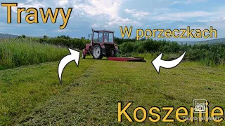 🇵🇱Koszenie trawy w porzeczkach 🇵🇱