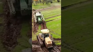 MOST SATISFYING FARMING #farming  #tractor #stuck #shorts #farm #agriculture #johndeere #challenger