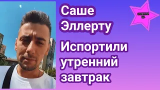 Саша Эллерт мечтал позавтракать на природе, но трапеза была испорчена и вот почему