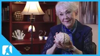 Meet Your Marvellous Brain - The Incredible Journey