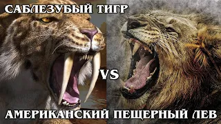 САБЛЕЗУБЫЙ ТИГР VS АМЕРИКАНСКИЙ ЛЕВ: Кто сильнее? Интересные факты про доисторических животных