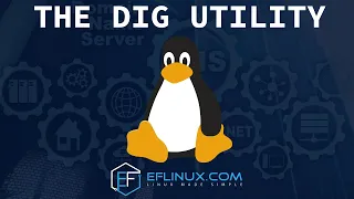 The DIG Utility