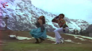 Nallanchu Tella Cheera Video Song || Donga Mogudu Movie || Chiranjeevi, Radhika